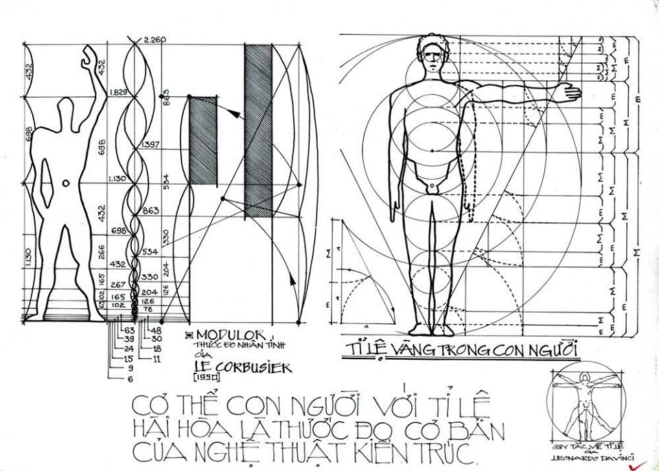 nhan-trac-hoc-trong-thiet-ke-noi-that-0