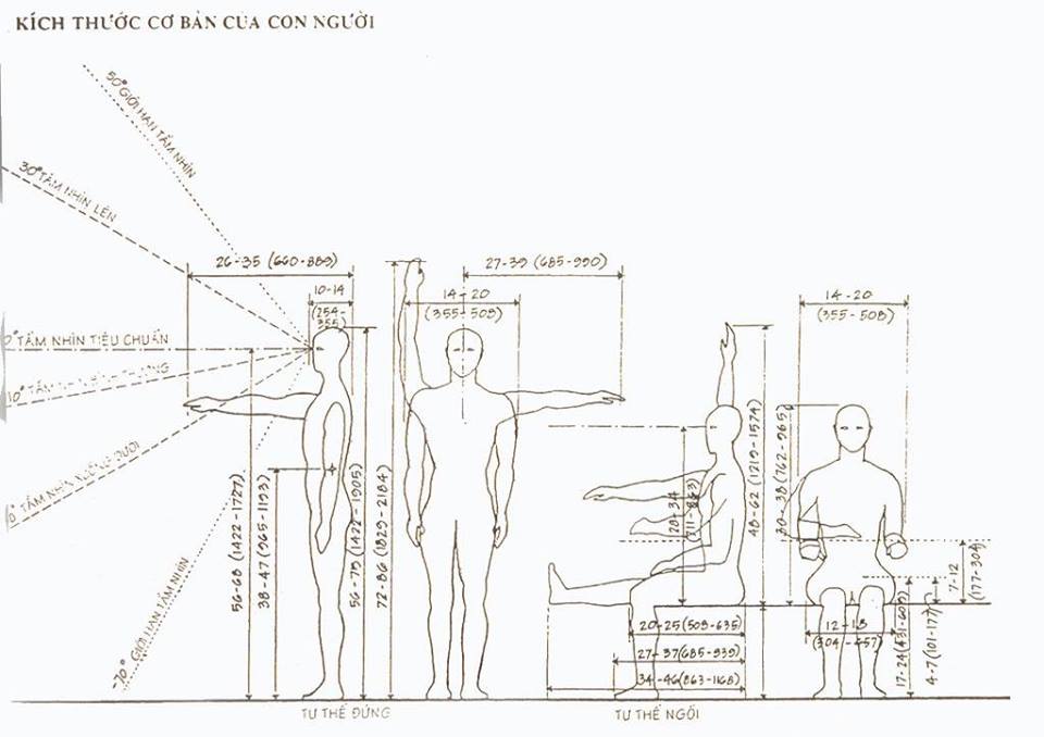 nhan-trac-hoc-trong-thiet-ke-noi-that-2