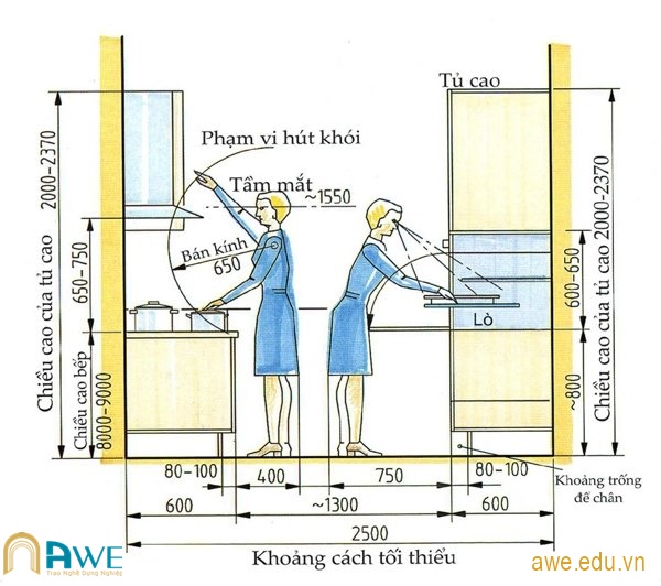 Ứng dụng của nhân trắc học trong thiết kế tủ bếp và phòng bếp