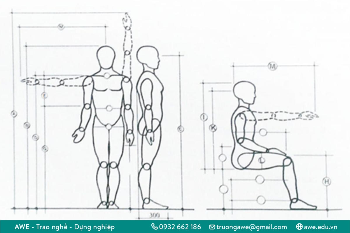 Nhân trắc học là gì