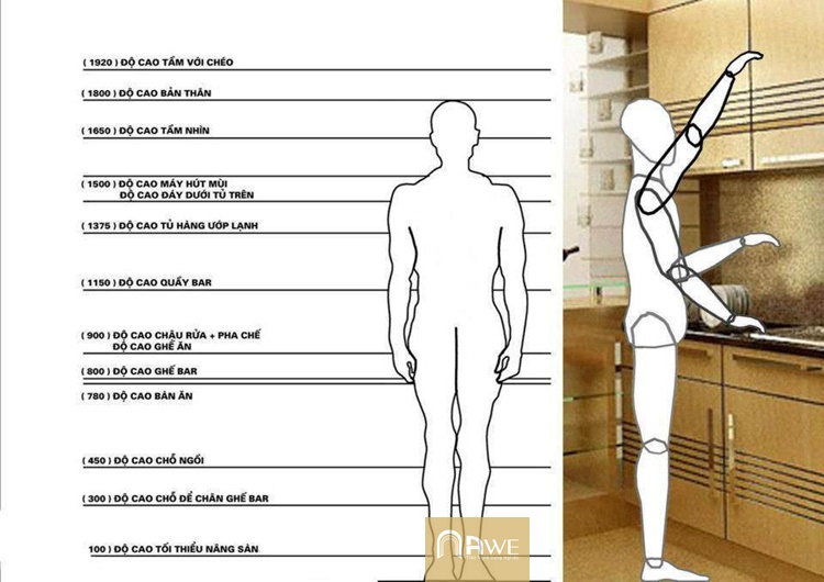 Nhân trắc học trong thiết kế nội thất