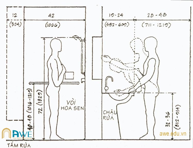 Nhân trắc học là gì - Ứng dụng của nhân trắc học trong thiết kế phòng tắm
