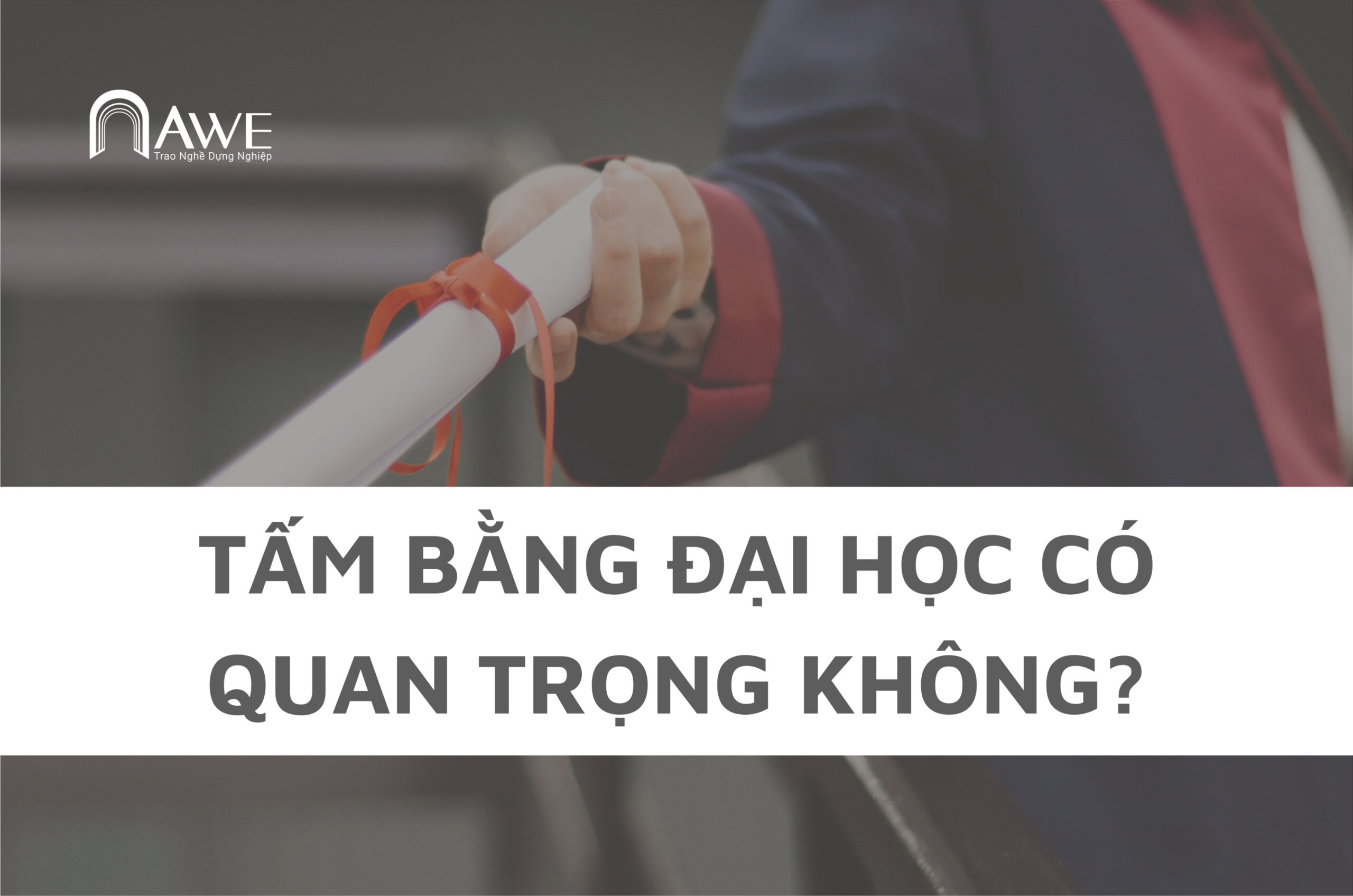 không học đại học thì làm gì, không học đại học thì nên học nghề gì