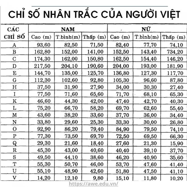 nhan-trac-hoc-la-gi-nhan-trac-hoc-trong-thiet-ke-noi-that Nhân trắc học là gì? Nhân trắc học trong thiết kế nội thất