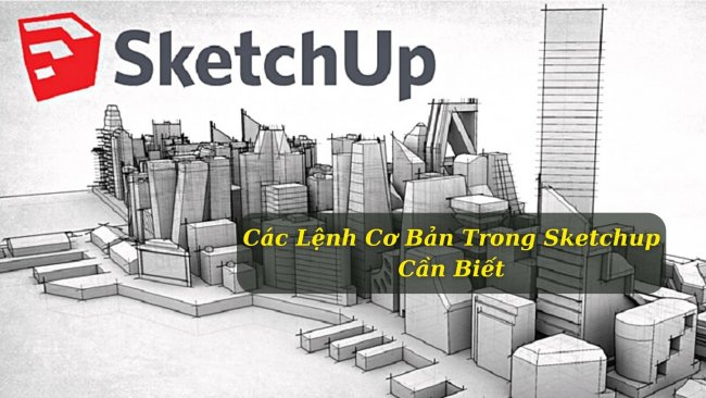 Các Lệnh Cơ Bản Trong Sketchup Cần Biết