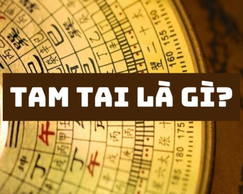 Năm 2024 tuổi Quý Hợi có phạm Tam tai không