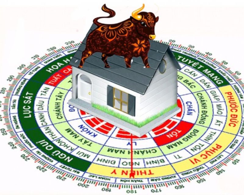 sinh năm 1985 xây nhà năm 2024 có tốt không