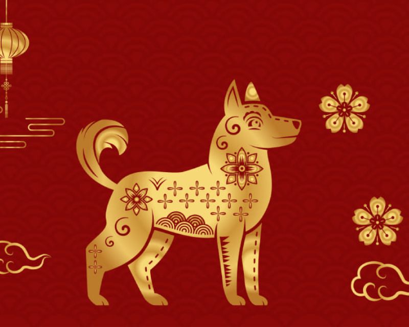 Tổng quan tuổi Nhâm Tuất 1982