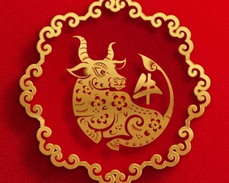 Tổng quan về tuổi Ất Sửu 1985