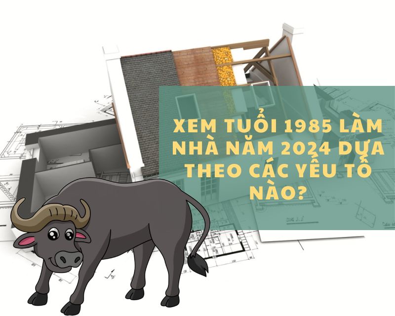 tuổi 1985 làm nhà năm 2024