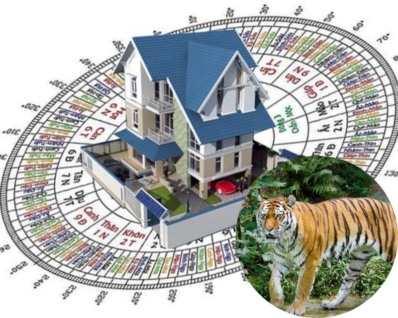 phong thủy tuổi 1974 năm 2025