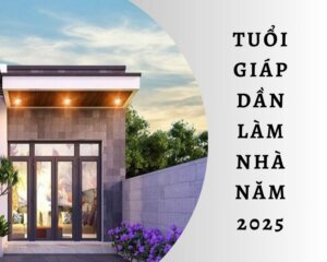 tuổi giáp dần làm nhà năm 2025