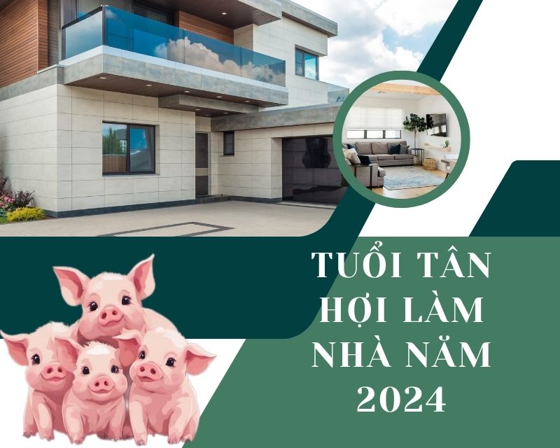 tuổi tân hợi làm nhà năm 2024