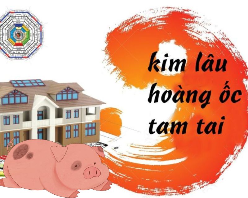 yếu tố xem tuổi làm nhà cho tuổi tân hợi