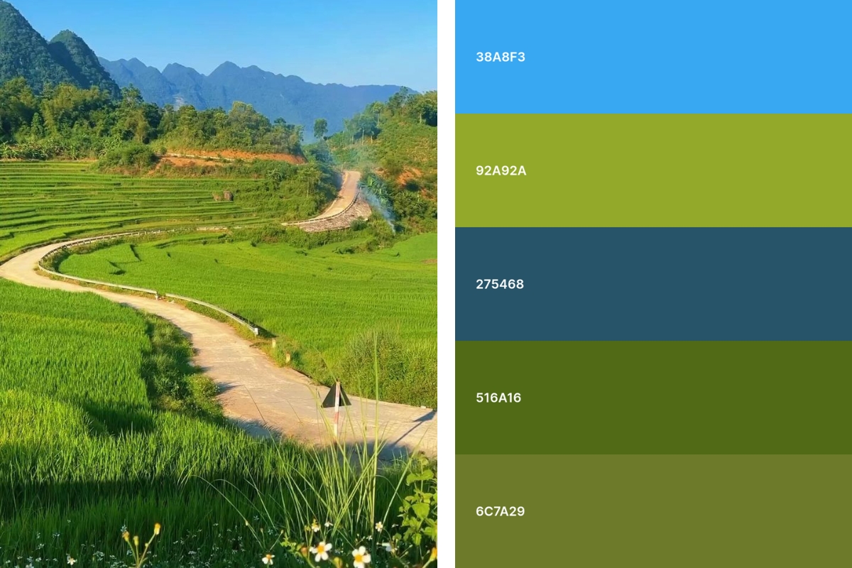 Các kiểu phối màu cơ bản trong thiết kế