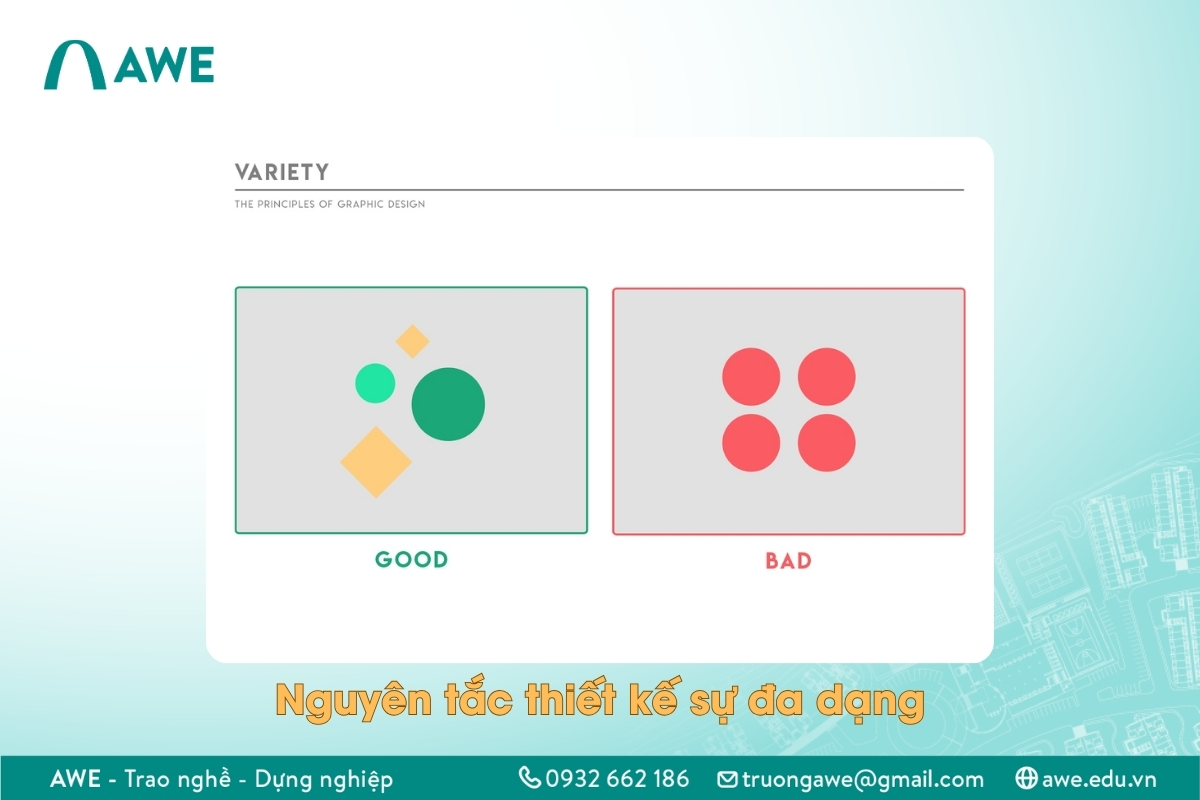 Nguyên tắc thiết kế thứ 11 - Sự đa dạng