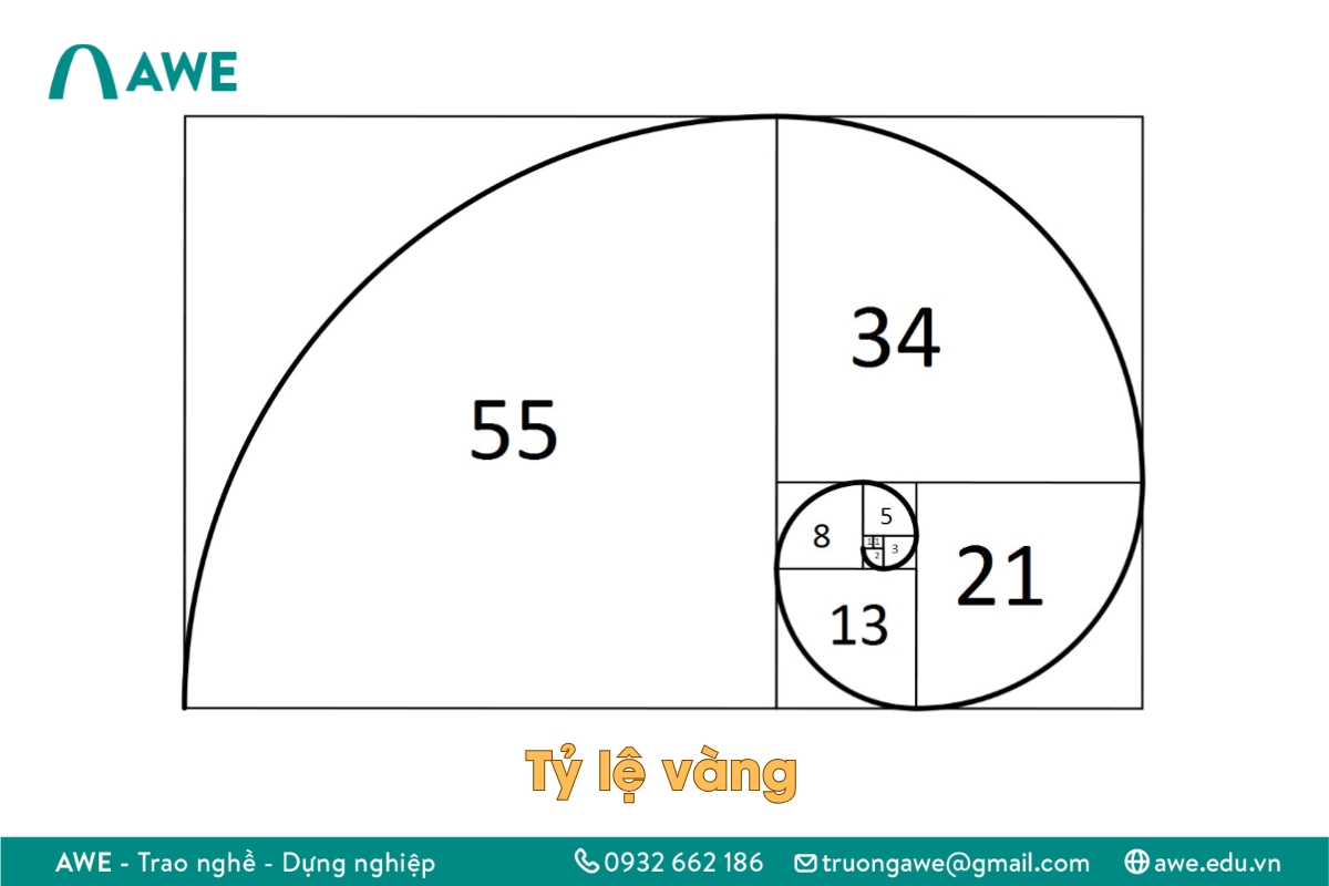 Cách ứng dụng tỷ lệ vàng trong thiết kế đồ họa