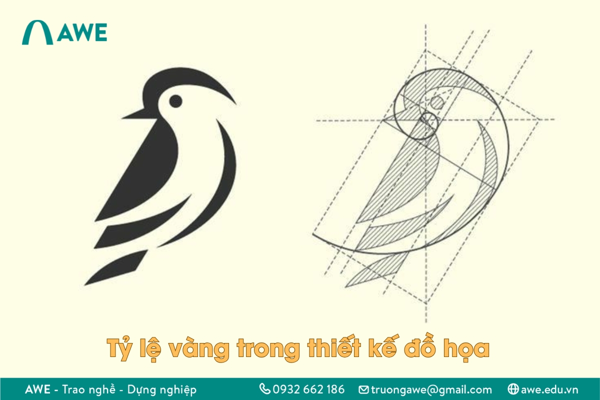 Cách ứng dụng tỷ lệ vàng trong thiết kế đồ họa