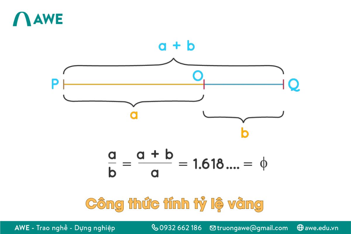 Tỷ lệ vàng trong thiết kế đồ họa