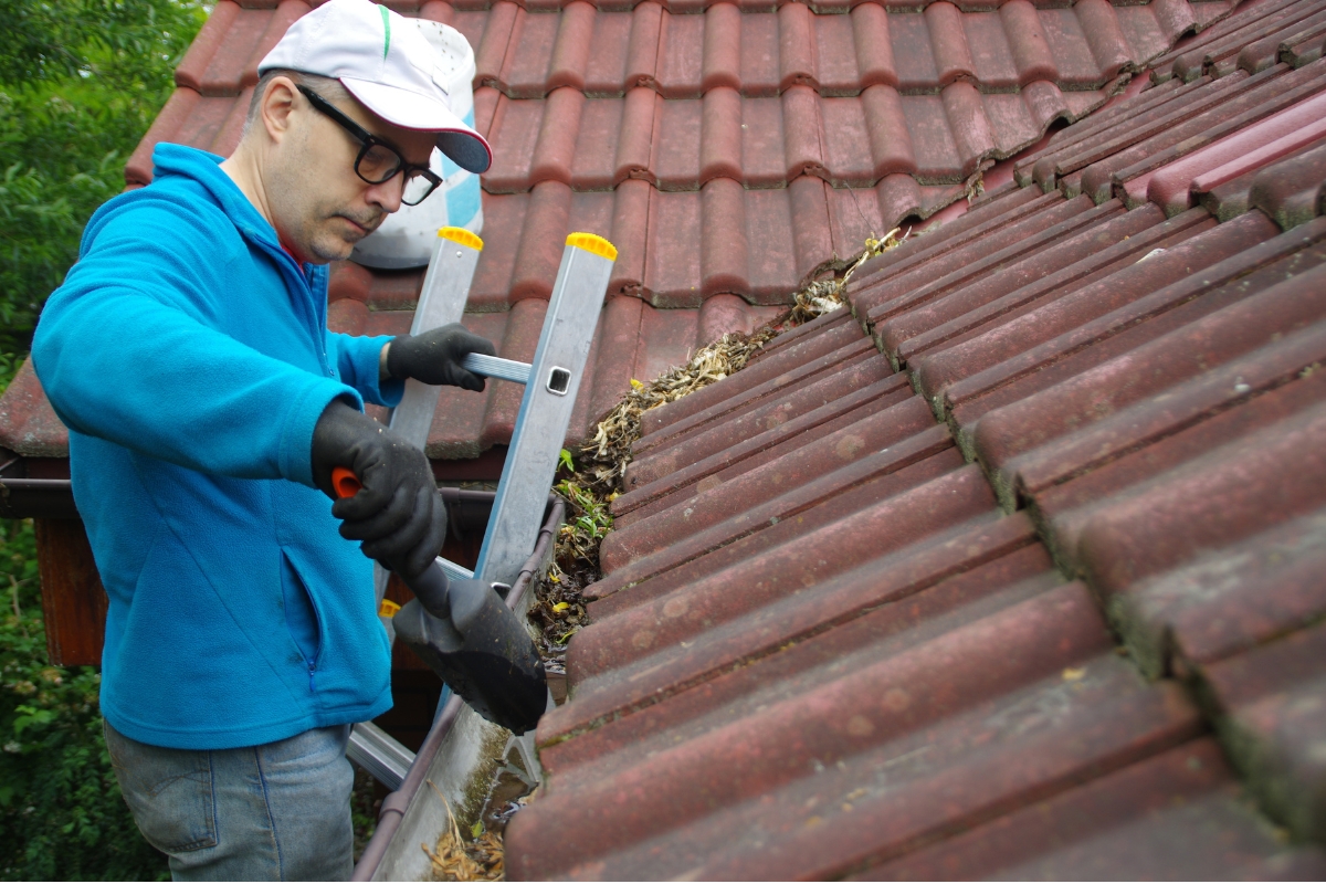 Cách vệ sinh mái tôn đúng cách và an toàn tại nhà