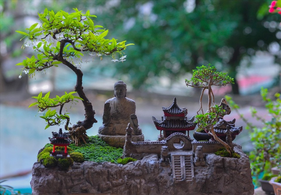 Trọn bộ 72 thế cây cảnh bonsai đẹp nhất mọi thời đại