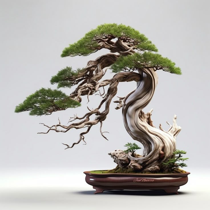 Trọn bộ 72 thế cây cảnh bonsai đẹp nhất mọi thời đại