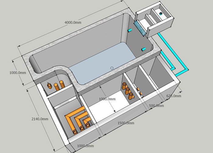 Bản vẽ thiết kế hồ cá koi 3D