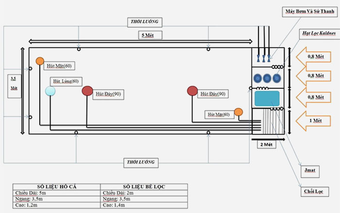 Bản vẽ thiết kế hồ cá koi 2D