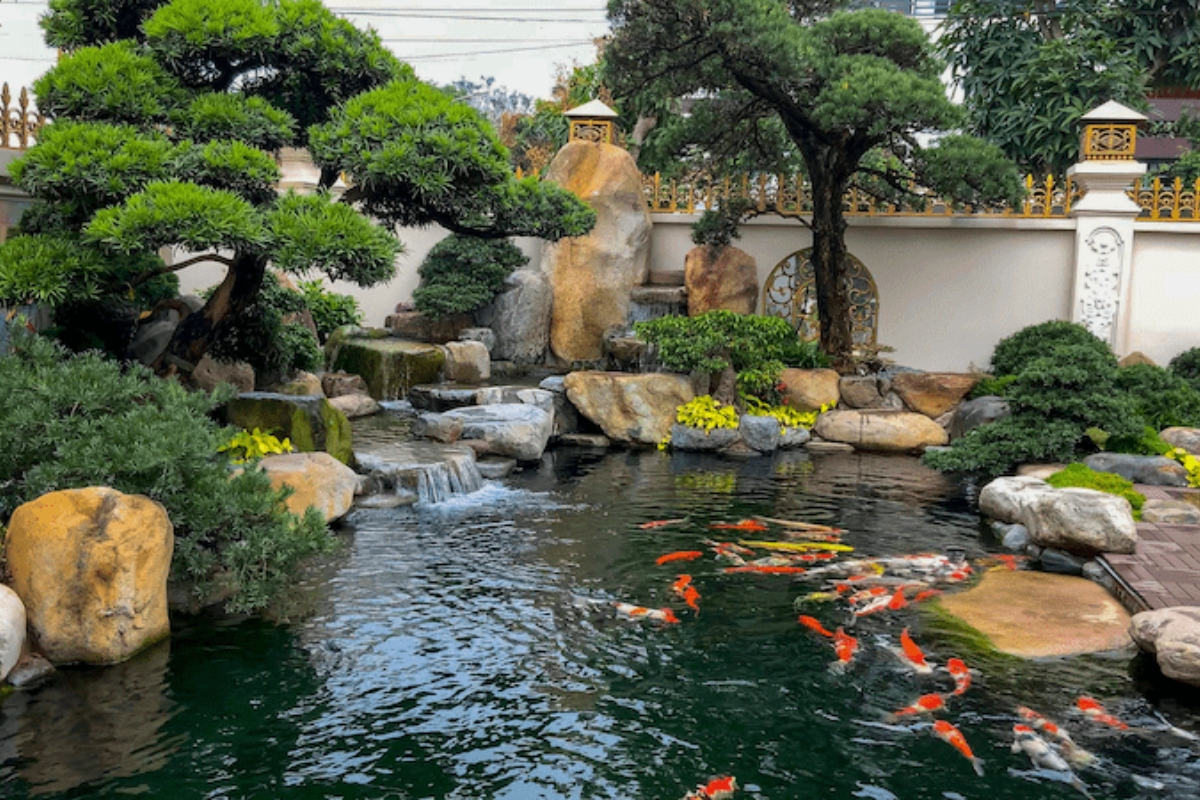 Mẫu thiết kế hồ cá koi đẹp, hiện đại, ấn tượng