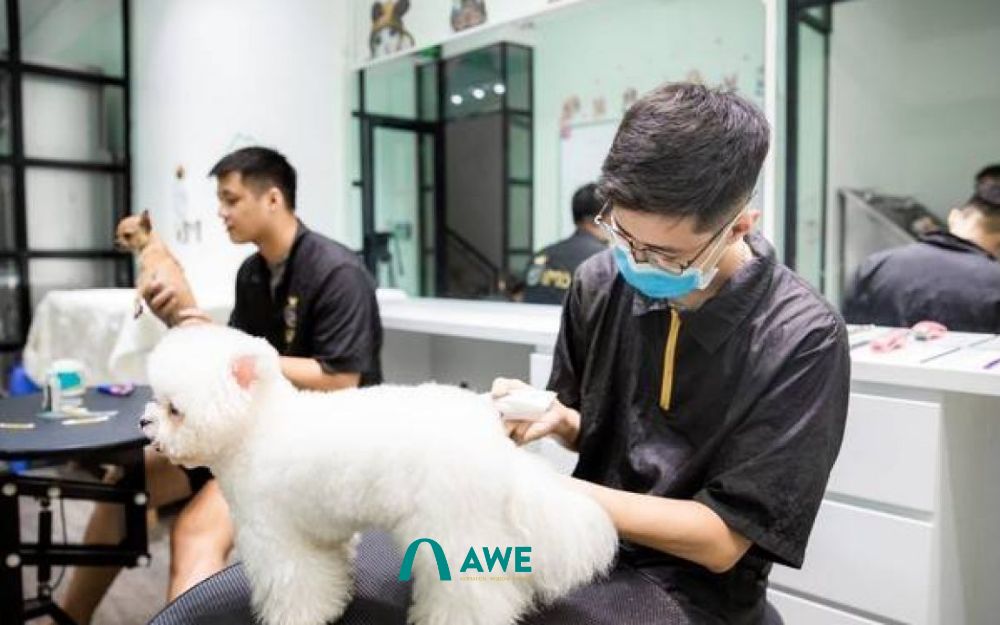 Chăm sóc thú cưng, vật nuôi